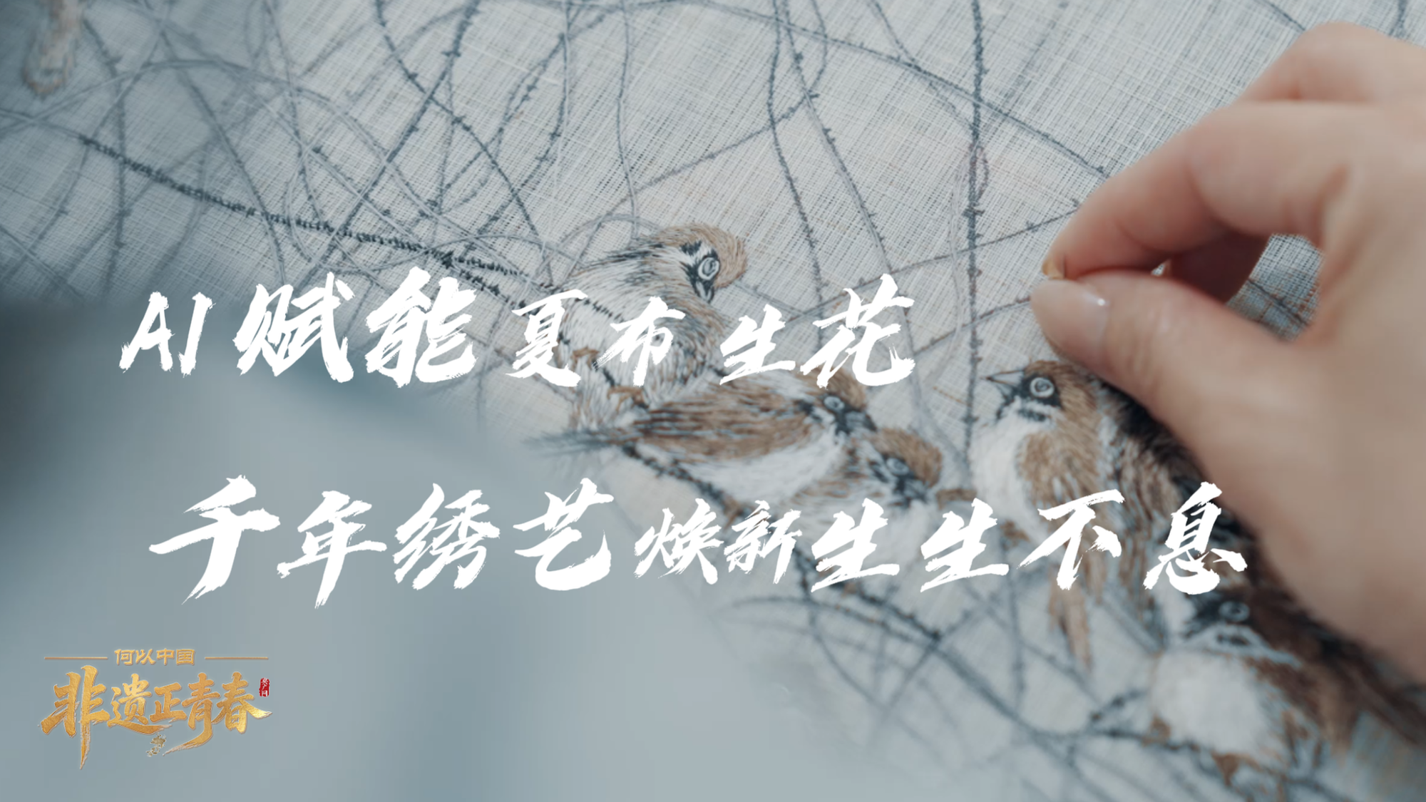 中国国防部:中方将首次参加塞舌尔阅兵活动