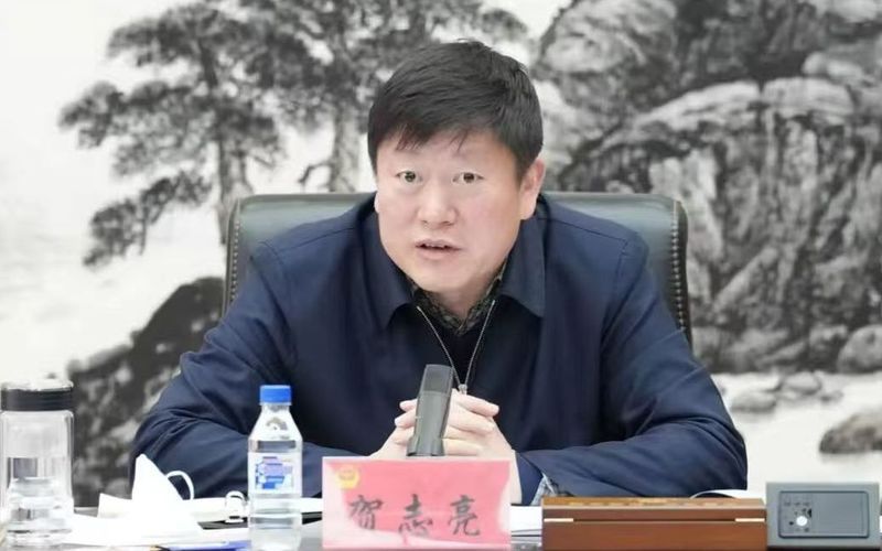 金星回应复婚