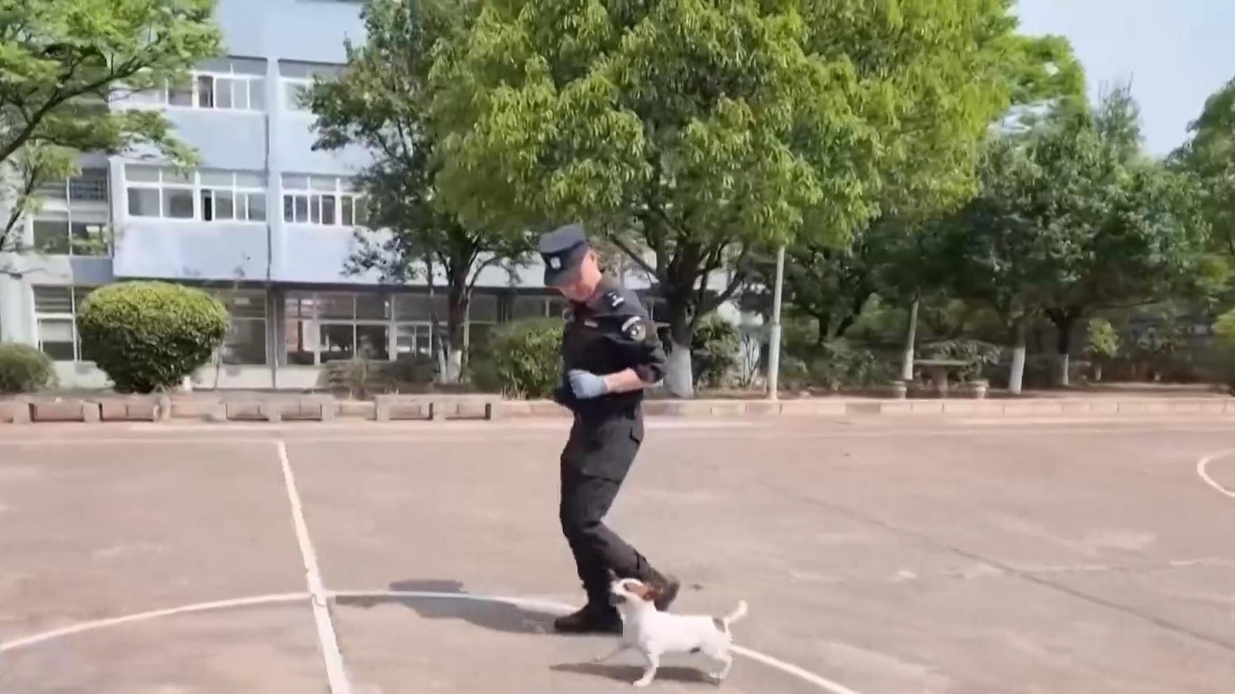 黄子韬徐艺洋秀恩爱