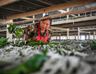 总书记对常态化做好东西部协作工作重要指示催人奋进