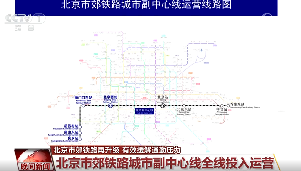 哀牢山发现全球仅千只的鸟