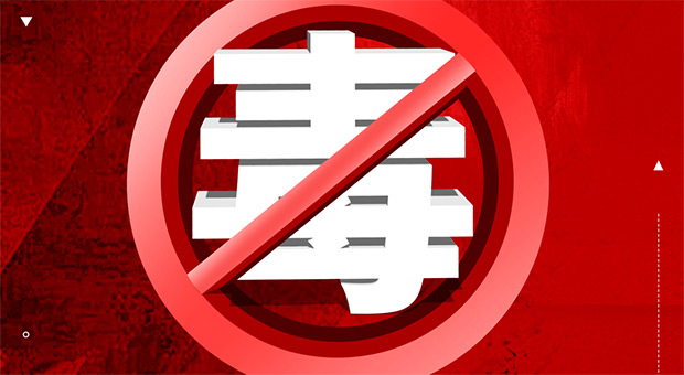 台湾当归
