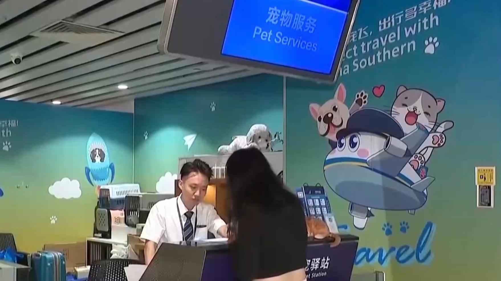 亚洲欧美在线观看一区二区-吉尼斯环球日剧