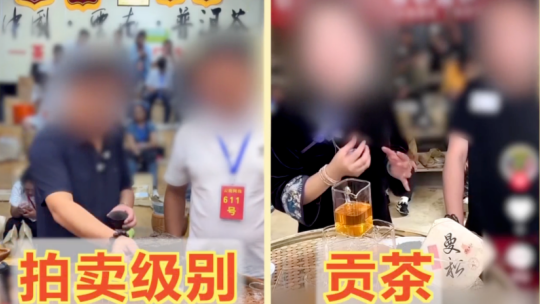 免费观看欧美成人AA片爱我多深