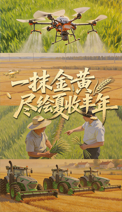 苏新皓被粉丝投稿上爸爸当家了