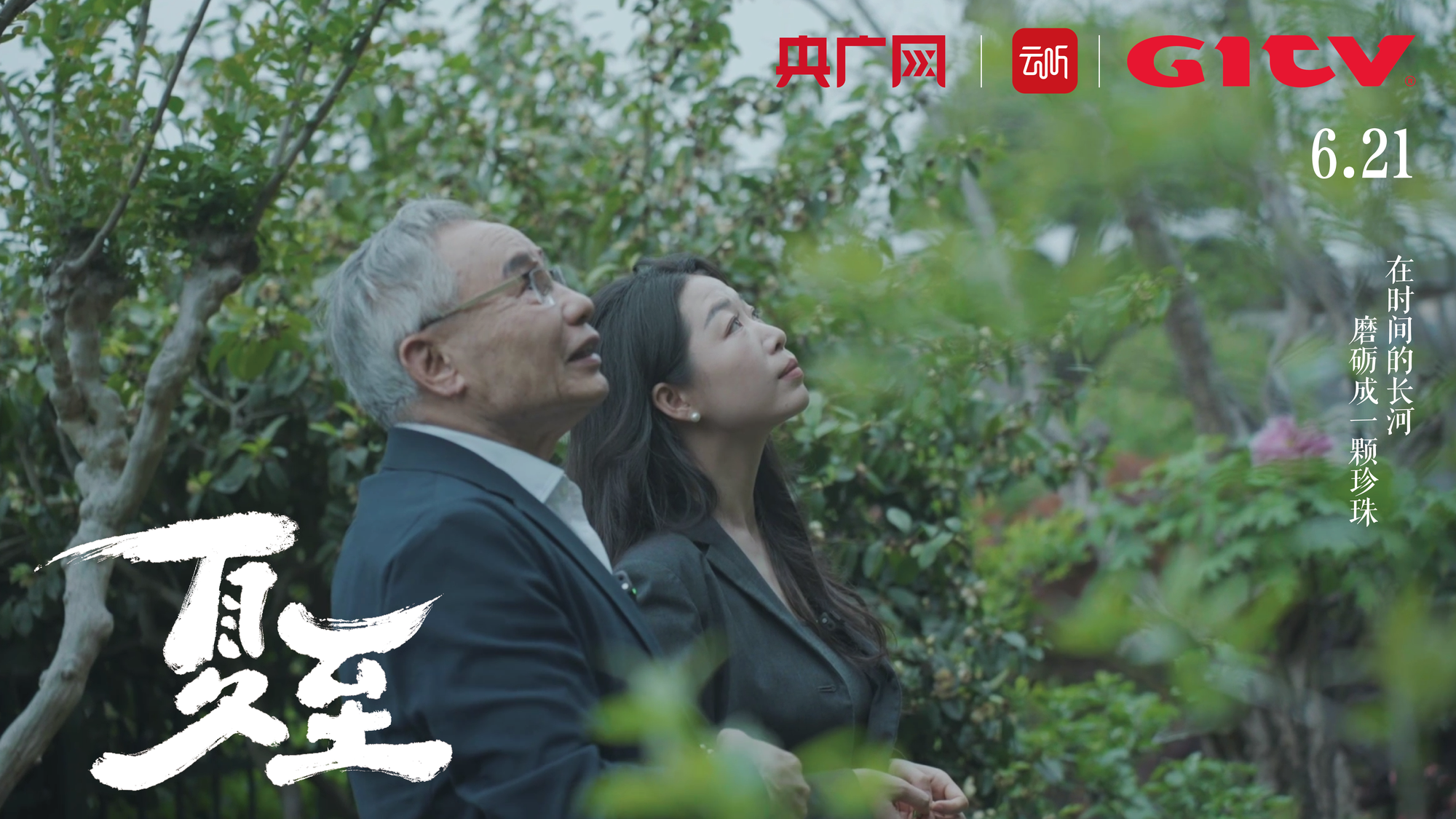 免费在线观看