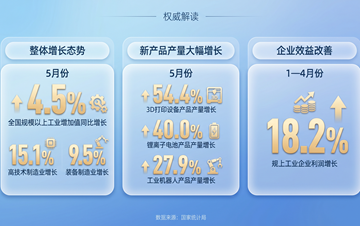 东北雨姐为何注册多家公司