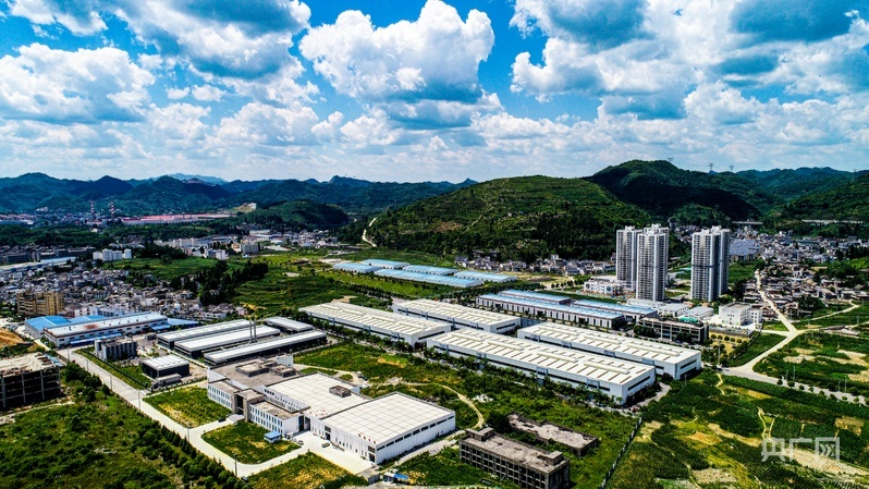 高清在线播放