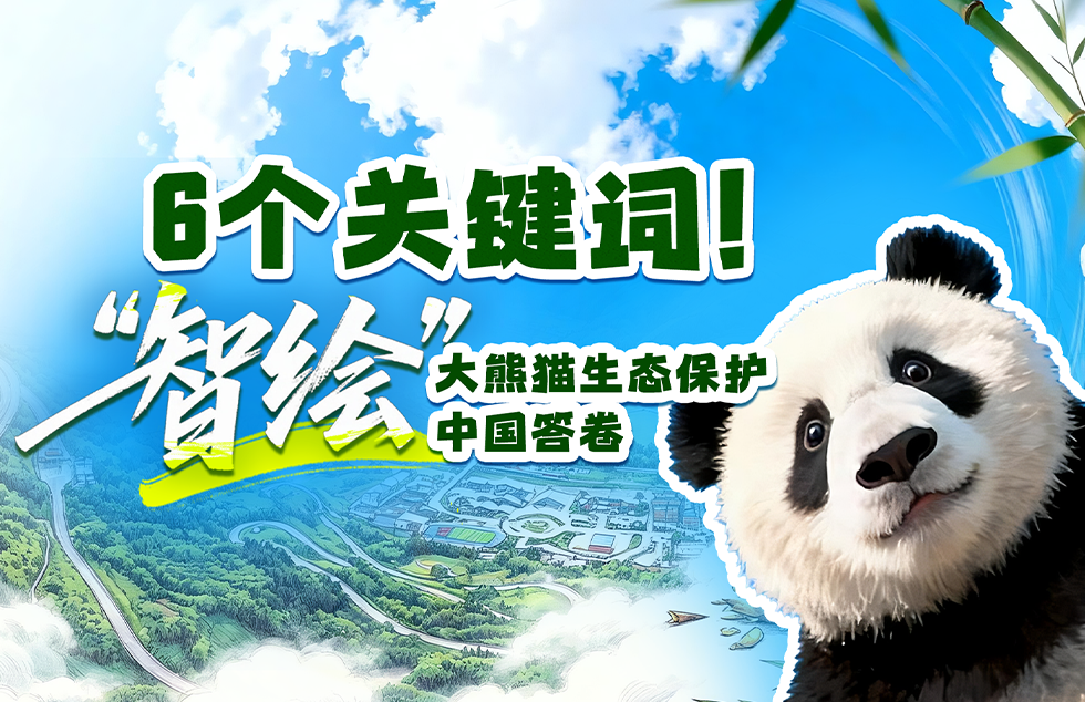 习近平致电祝贺德拉埃斯普列亚当选哥伦比亚总统